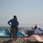 Picture 229